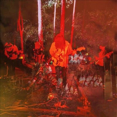 Psychedelic Porn Crumpets – Levitation Sessions LP neon pinwheel vinyl