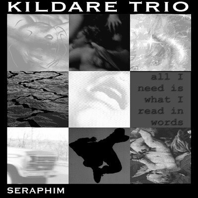 Kildare Trio - Seraphim CD** used VG+