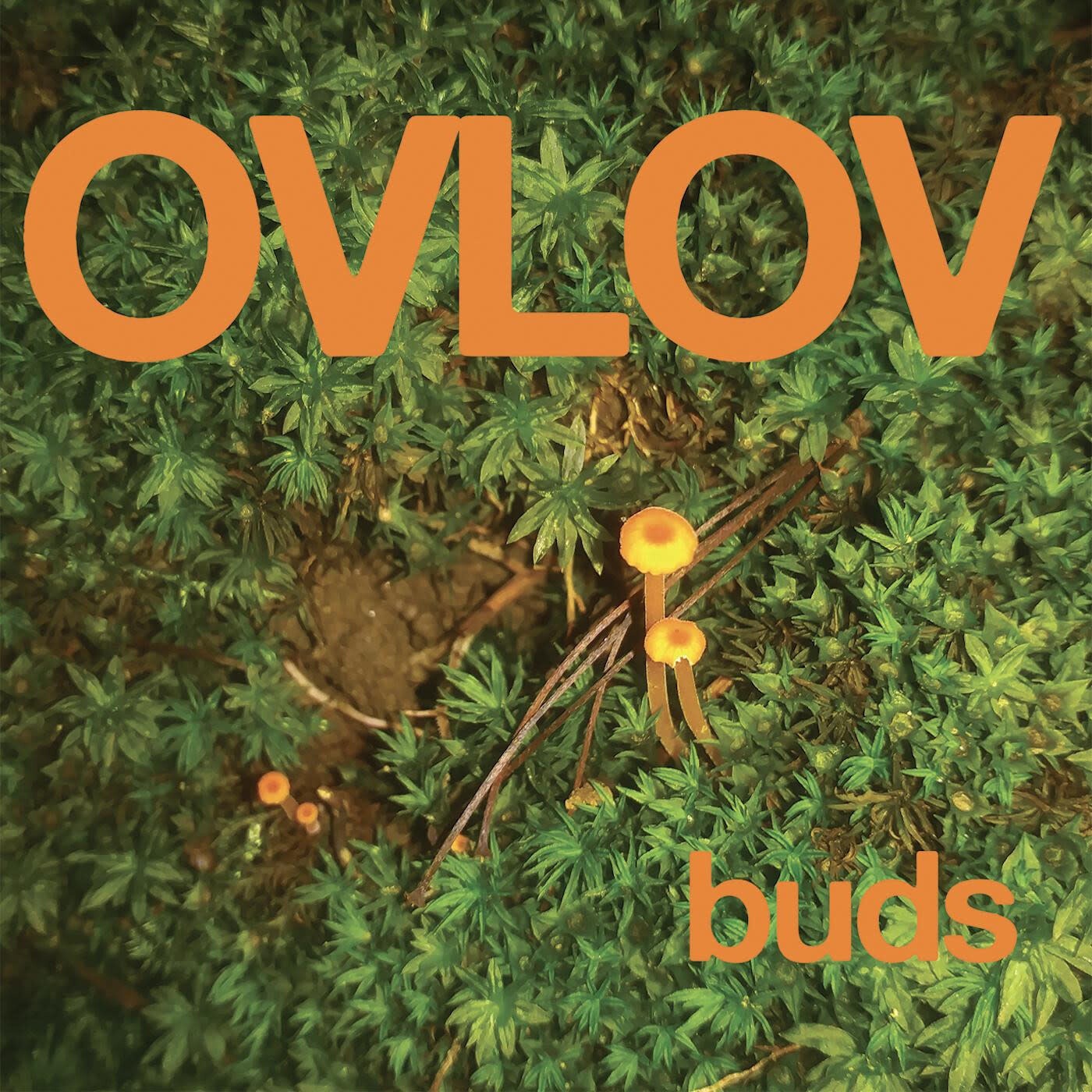Ovlov – Buds LP orange vinyl