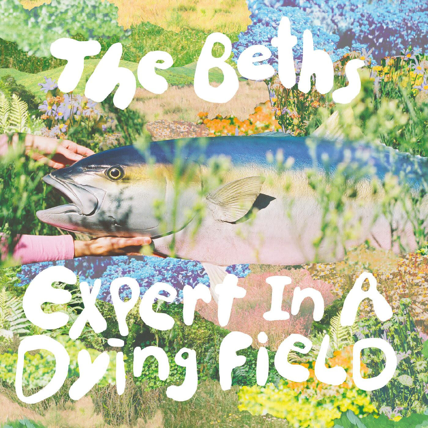 Beths – Expert In A Dying Field LP silver