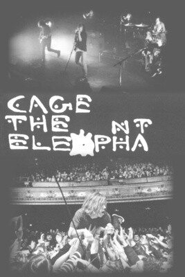Cage The Elephant - 2 Pics poster