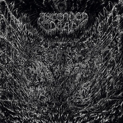 Ascended Dead - Evenfall Of The Apocalypse LP