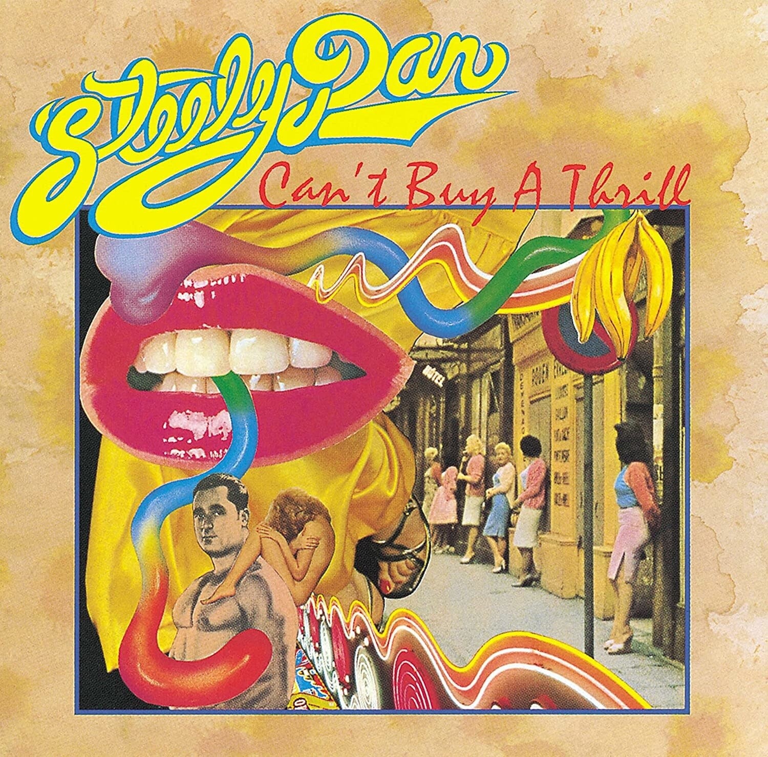Steely Dan – Can&#39;t Buy A Thrill LP