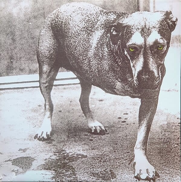 Alice In Chains – Alice In Chains LP import