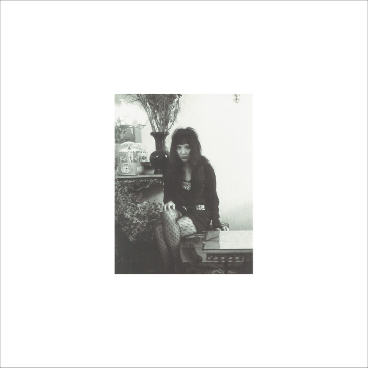 静香 (Shizuka) – 静香 III LP