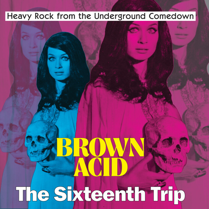 Various – Brown Acid: The Sixteenth Trip LP