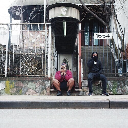 Armand Hammer – We Buy Diabetic Test Strips LP purple vinyl