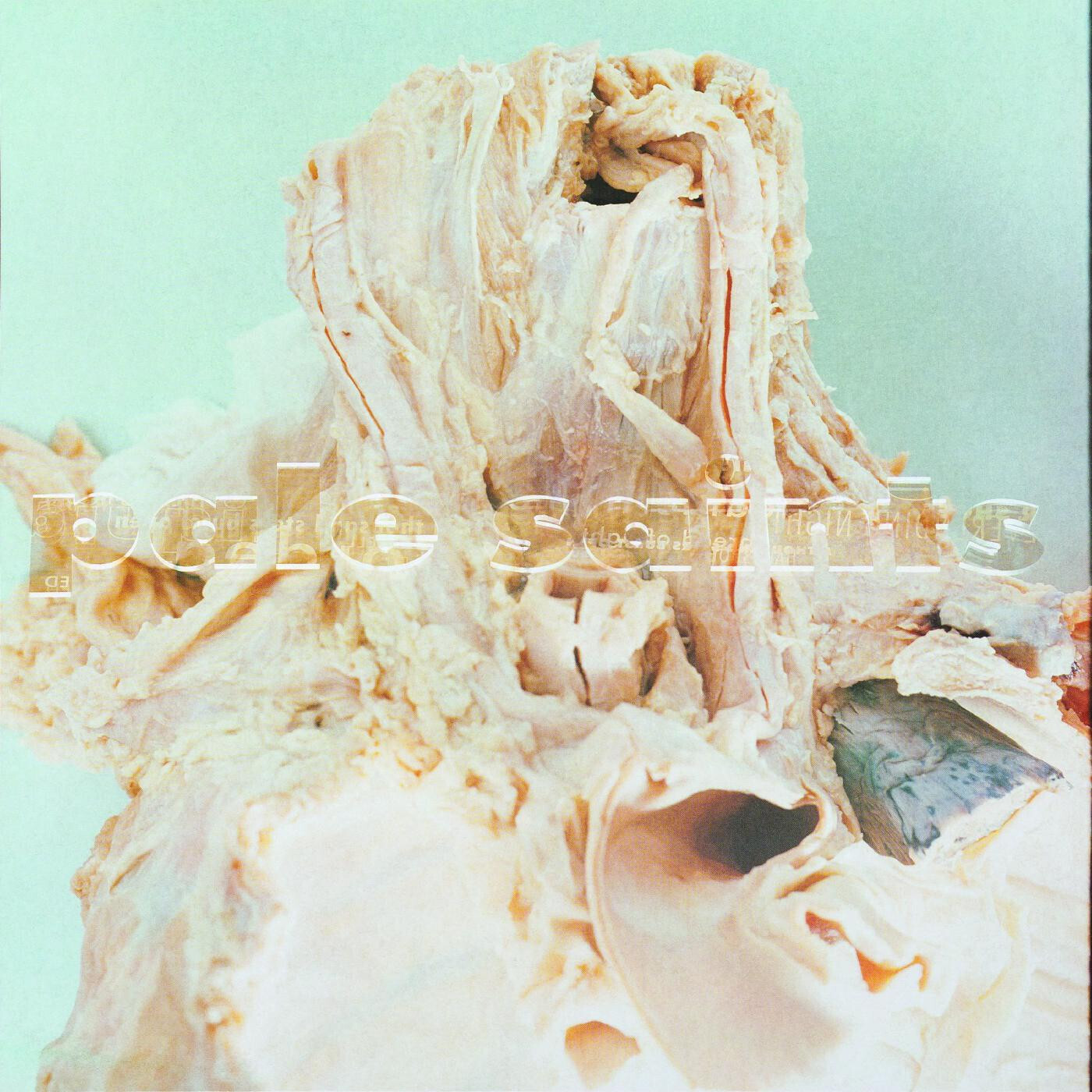 Pale Saints – In Ribbons (30th Anniversary Re:Masters) LP deluxe edition