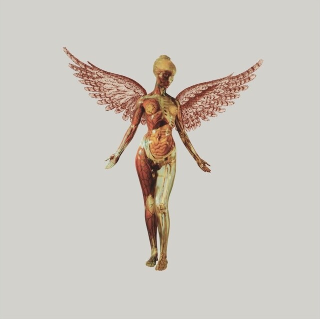Nirvana -  In Utero LP 30th anniversary super deluxe edition box set