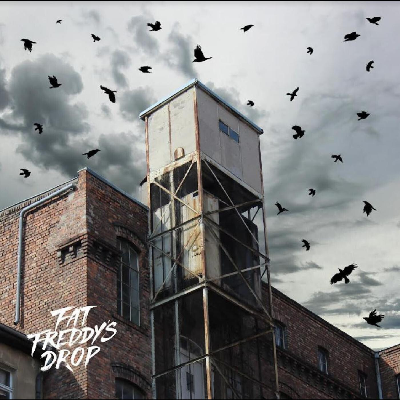 Fat Freddy&#39;s Drop – Blackbird Returns LP*