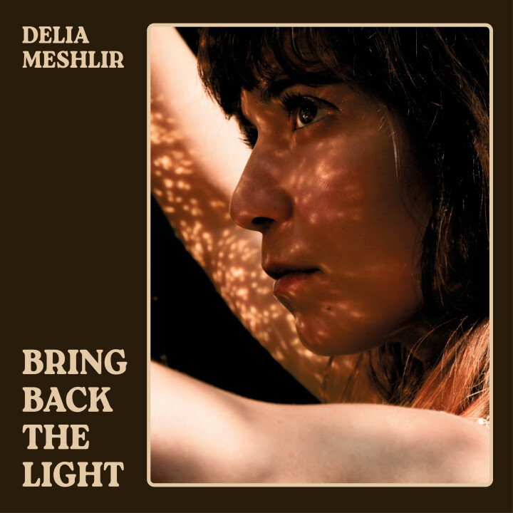 Delia Meshlir – Bring Back The Light LP*