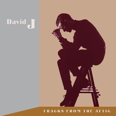 David J - Tracks From The Attic LP red vinyl