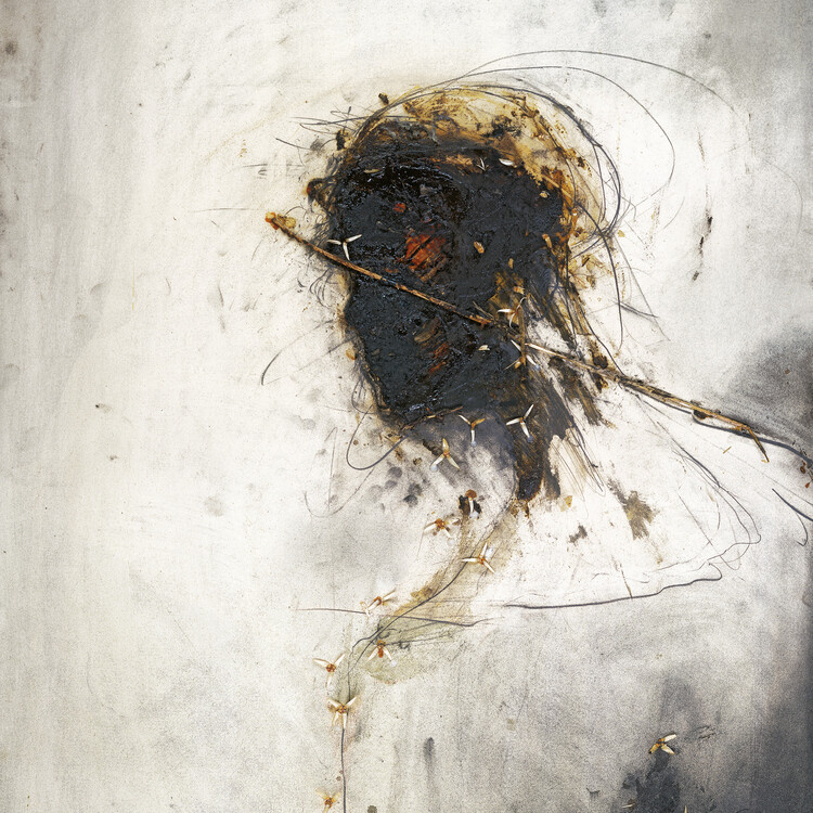 Peter Gabriel – Passion LP