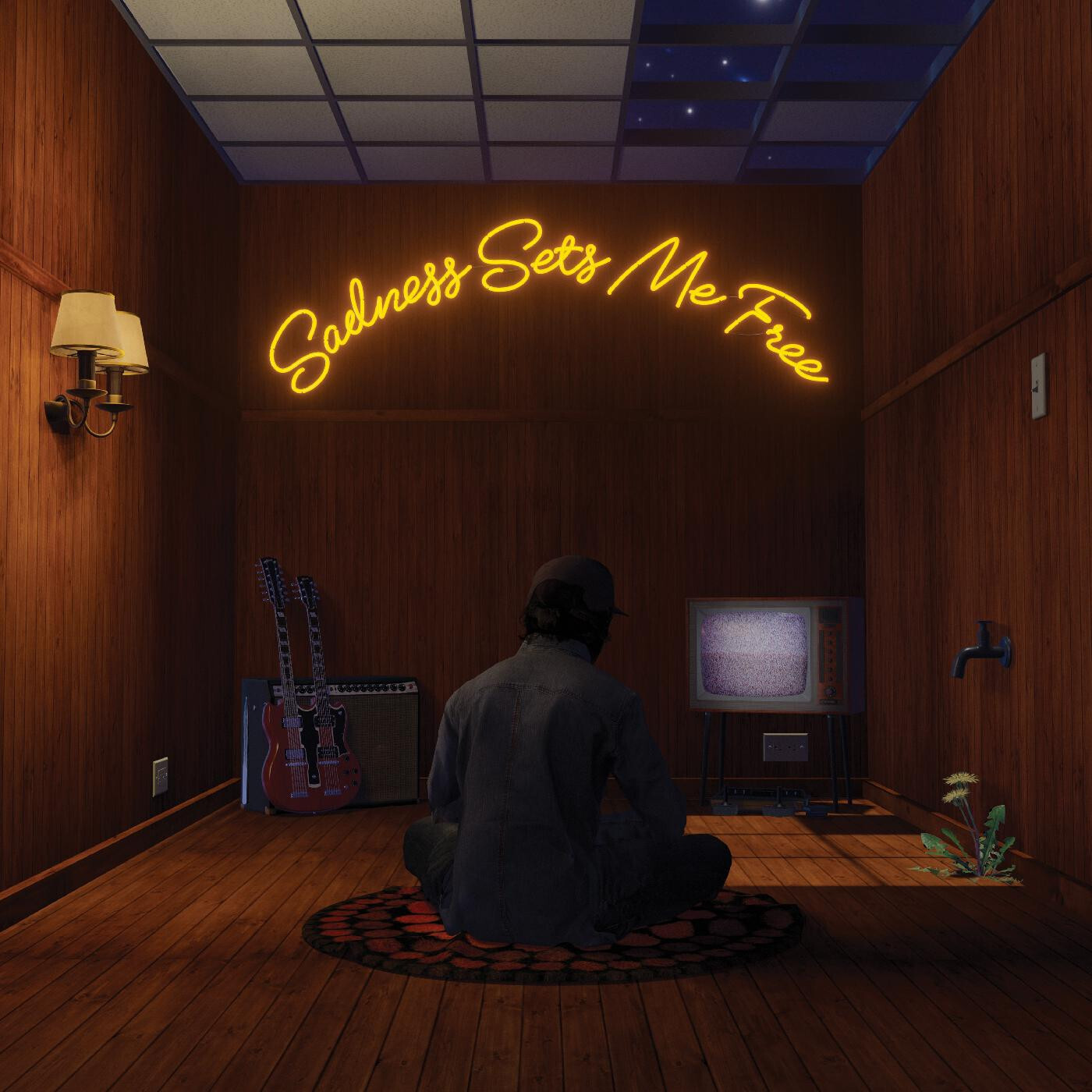 Gruff Rhys – Sadness Sets Me Free LP purple