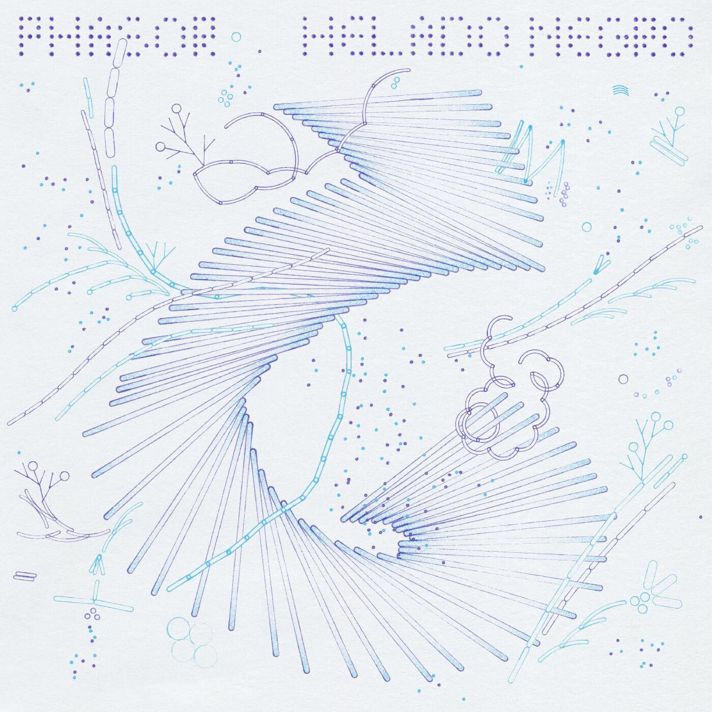 Helado Negro – Phasor LP