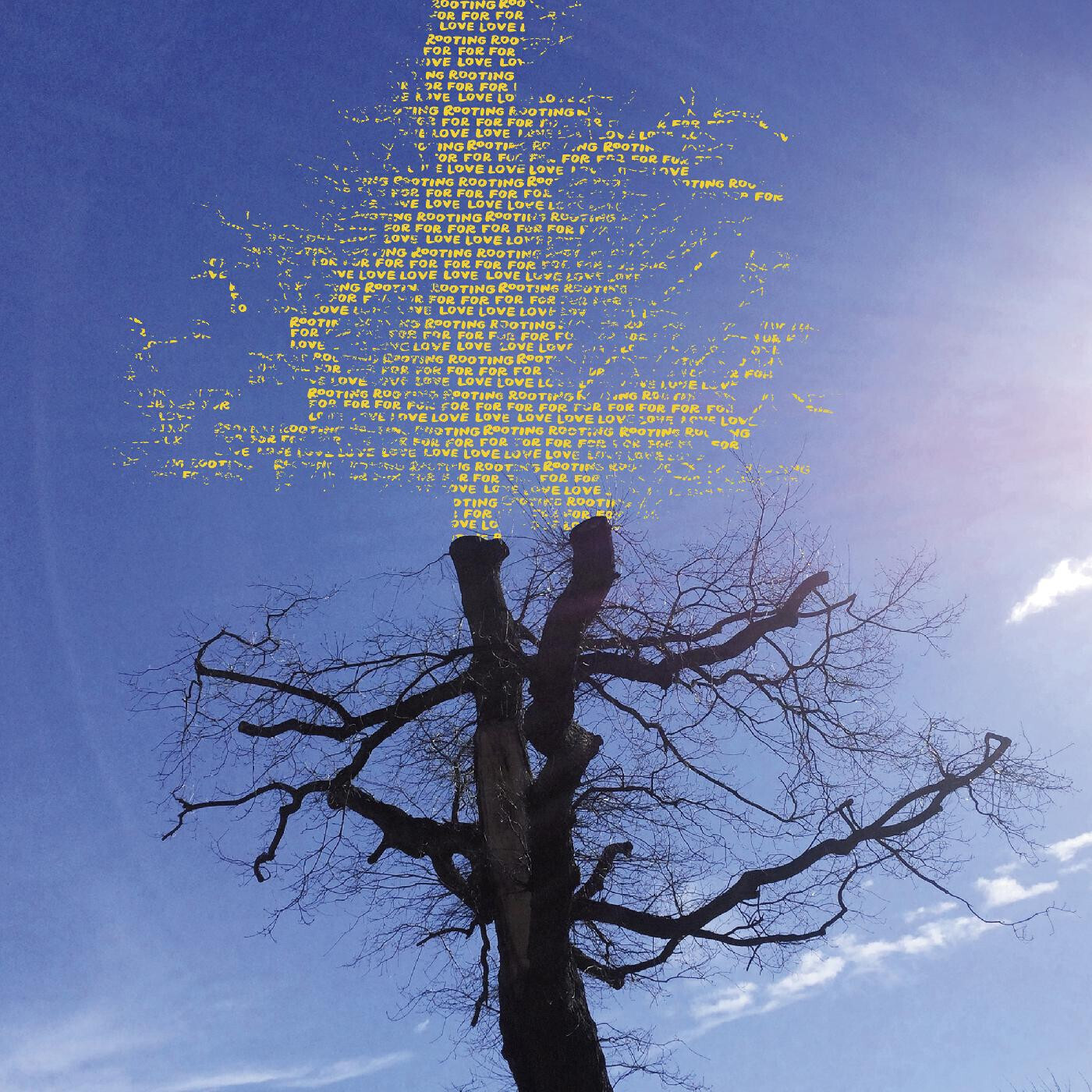 Laetitia Sadier – Rooting For Love LP