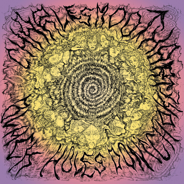 Charles Moothart -- Black Holes Don&#39;t Choke LP
