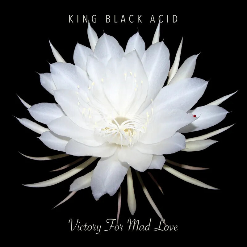 King Black Acid – Victory For Mad Love LP