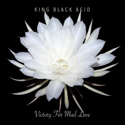 King Black Acid -- Victory For Mad Love LP