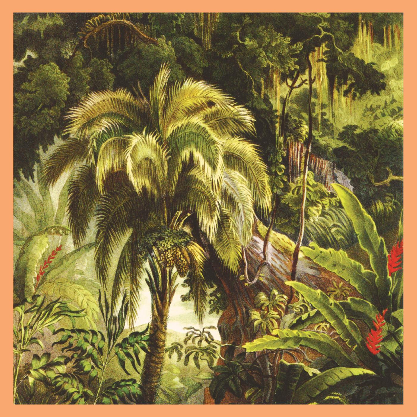 Xiu Xiu – La Forêt LP sunset swirl