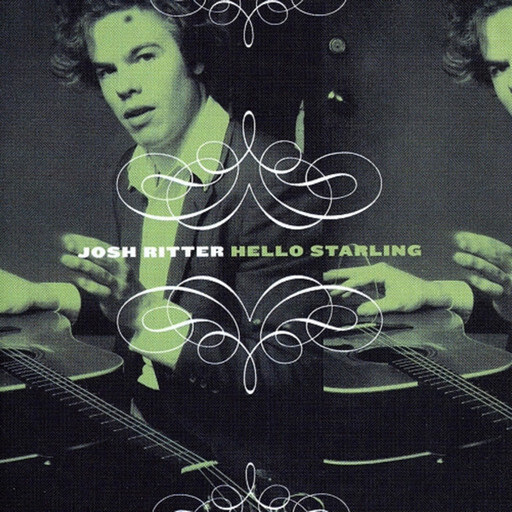 Josh Ritter – Hello Starling LP light gray