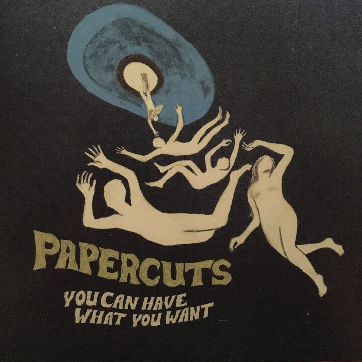 Papercuts -- You Can Have What You Want LP blue