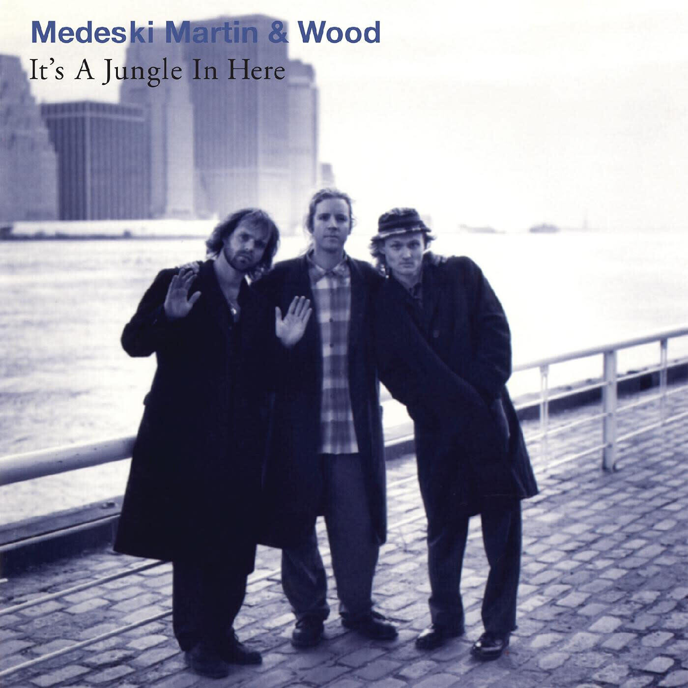 Medeski Martin &amp; Wood – It&#39;s A Jungle In Here LP