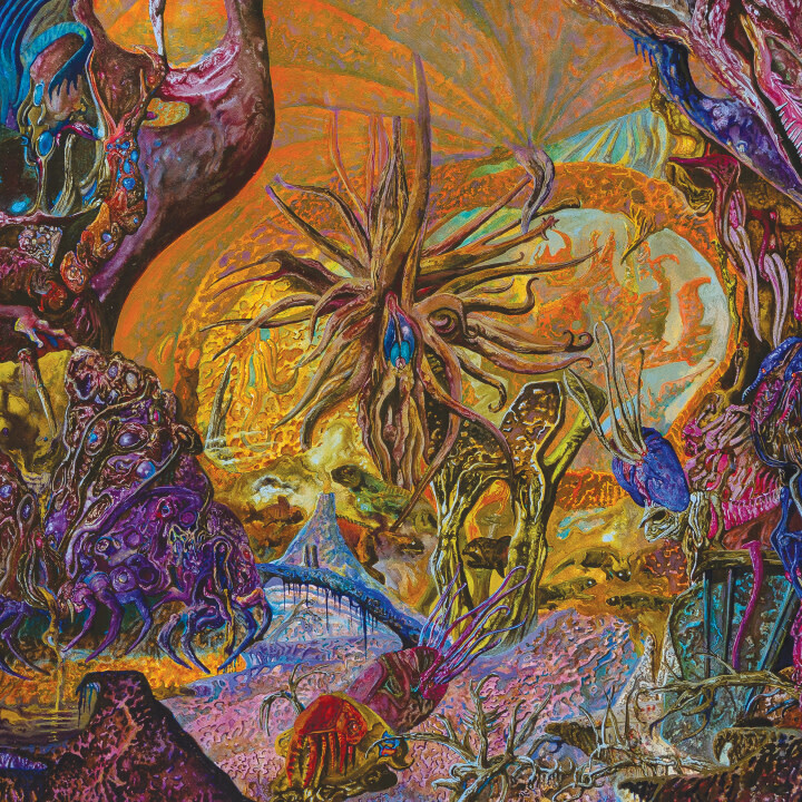 Slimelord – Chytridiomycosis Relinquished LP