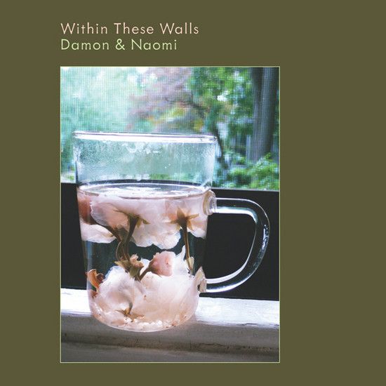 Damon &amp; Naomi – Within These Walls CD used vg / vg Traycard has hole in barcode.