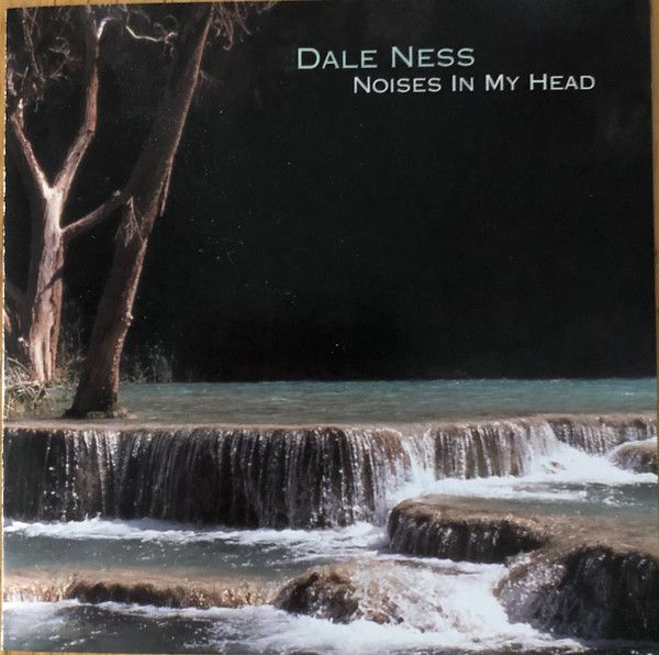 Dale Ness – Noises In My Head CD used vg / vg