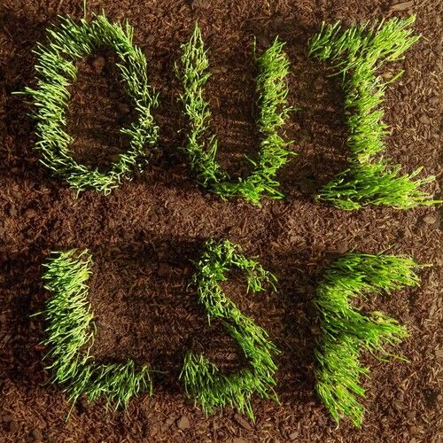 Les Savy Fav – Oui, LSF LP green vinyl