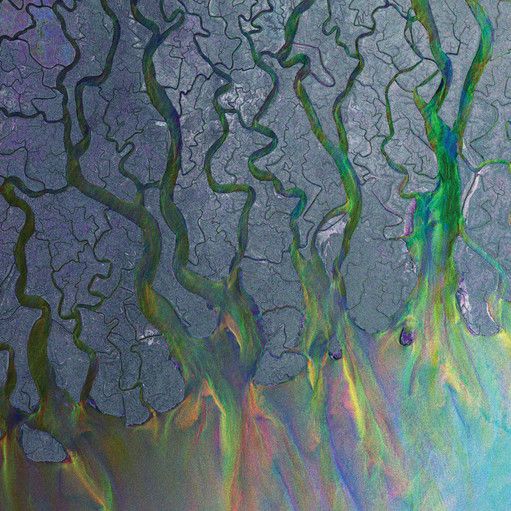 Alt-J ‎– An Awesome Wave LP