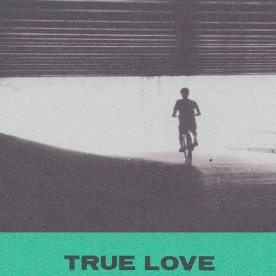 Hovvdy - True Love LP