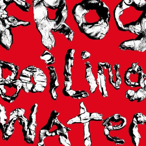DIIV – Frog In Boiling Water LP green