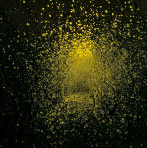 Antlers – Burst Apart LP yellow