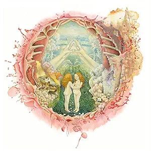 Islands – Arm&#39;s Way CD used vg / vg