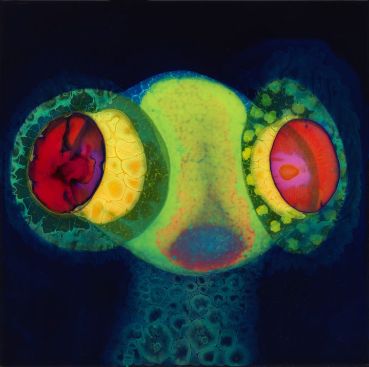 Osees – SORCS 80 LP
