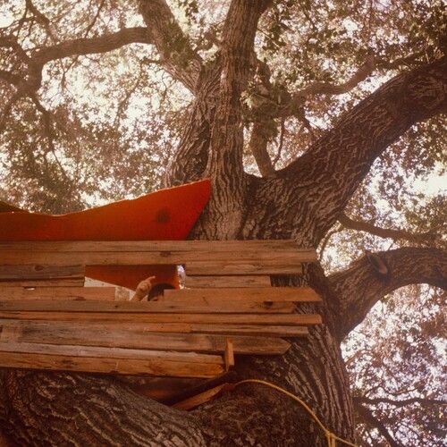 Backseat Lovers – Waiting to Spill LP ruby