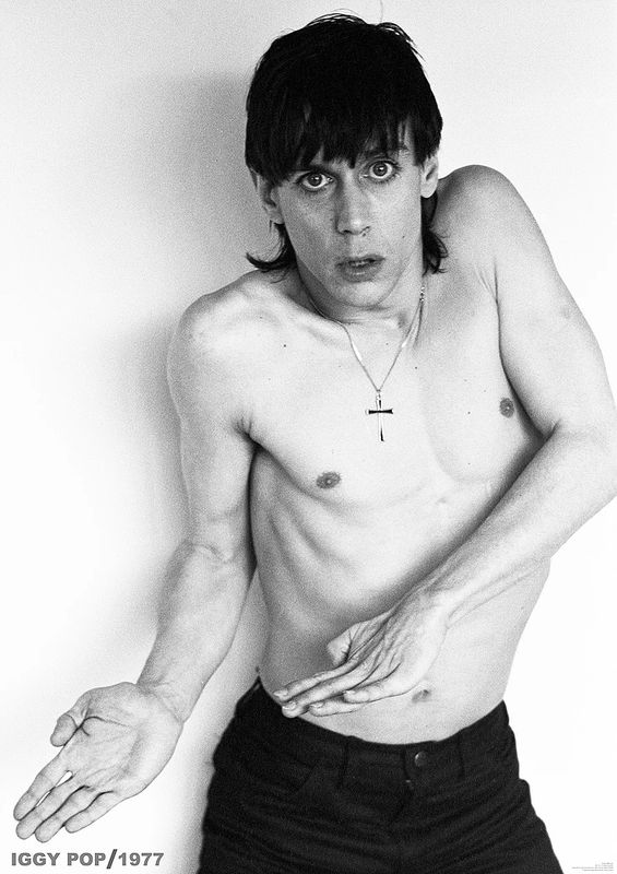 Iggy Pop - 1977 poster