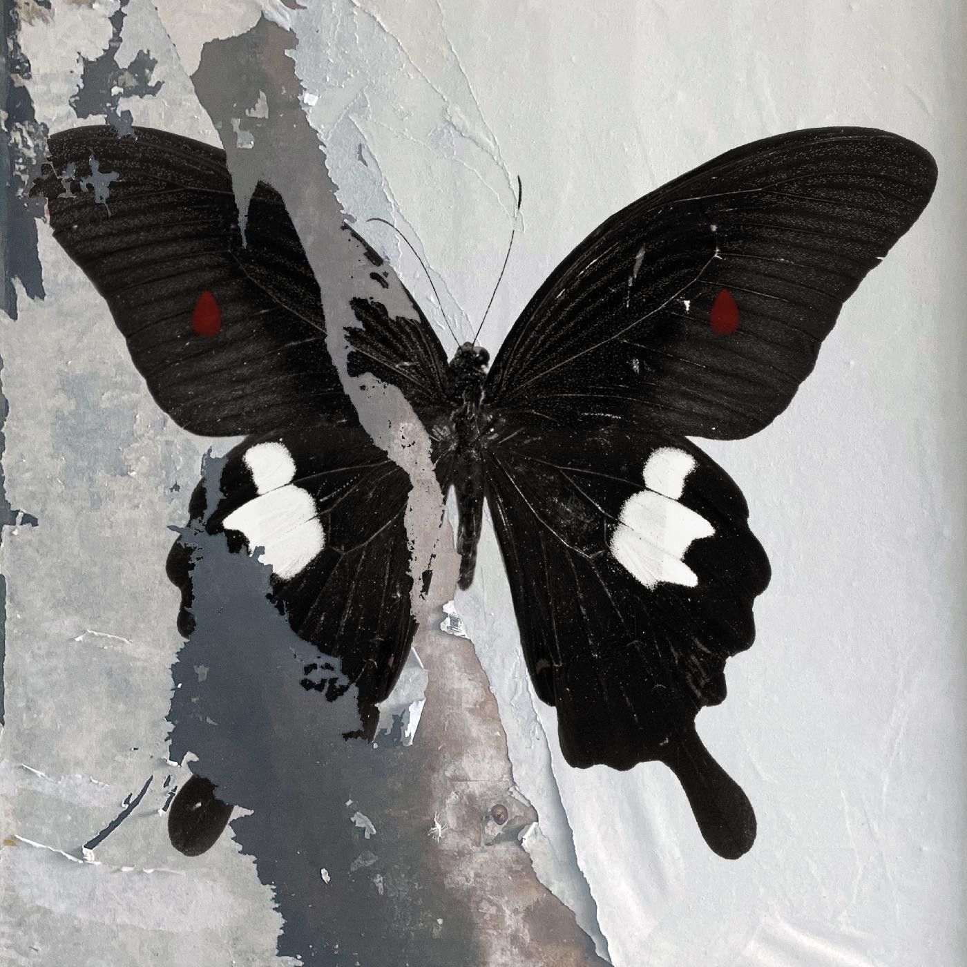 Death Cult – Paradise Now LP white / black splatter