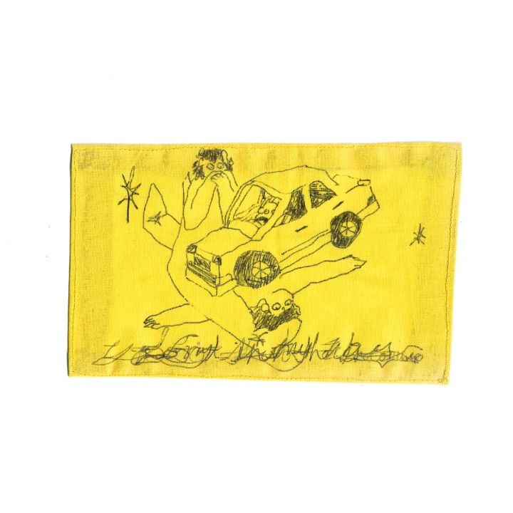 Wednesday – Mowing The Leaves Instead Of Piling &#39;Em Up (Covers) LP