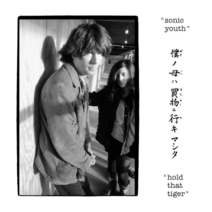 Sonic Youth –- Hold That Tiger LP