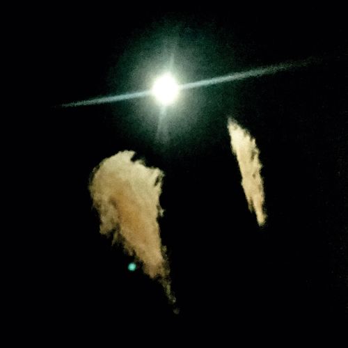 Midwife  – Forever LP