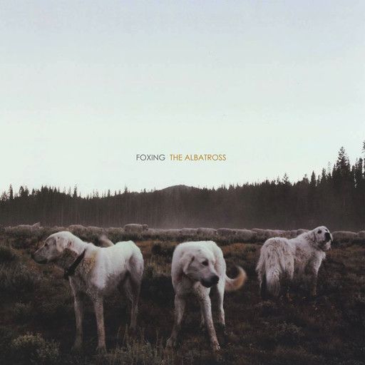 Foxing ‎– The Albatross LP brown