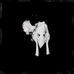 Sigur Rós – Kveikur LP