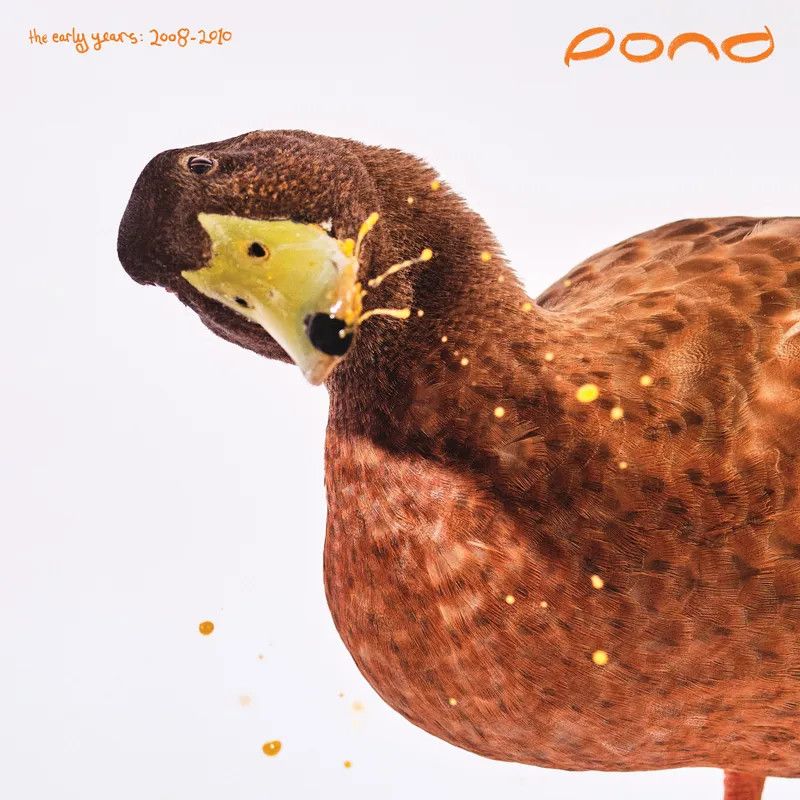 Pond – The Early Years: 2008 - 2010 LP orange