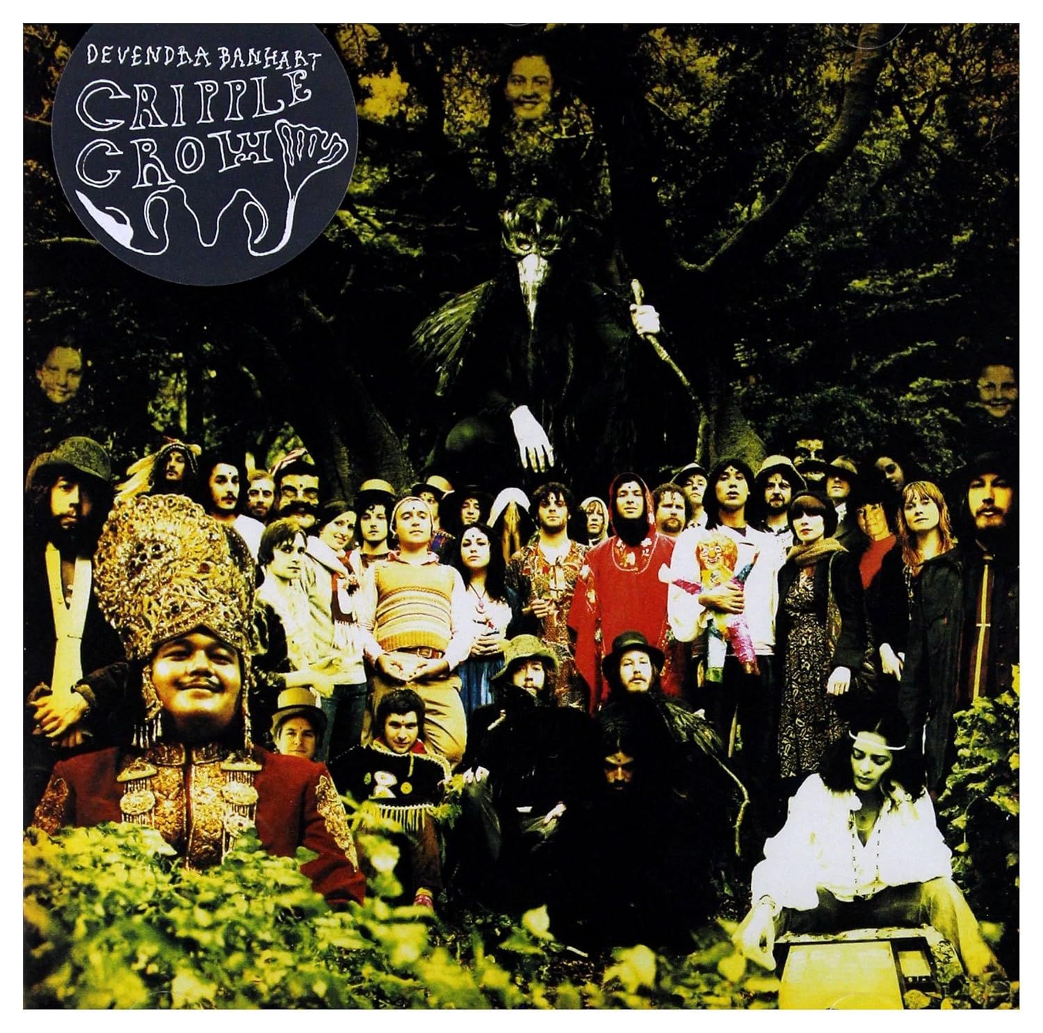 Devendra Banhart – Cripple Crow CD used vg / vg