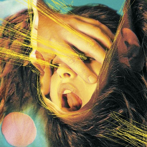 Flaming Lips – Embryonic CD / DVD hardcover used vg / vg