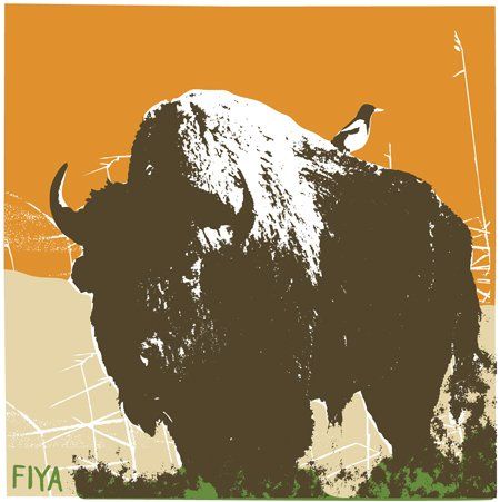 Fiya – Make Joy, Make Strength CD used vg / vg