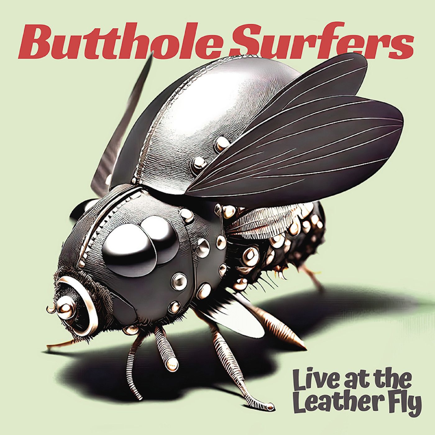 Butthole Surfers – Live At The Leather Fly LP pink